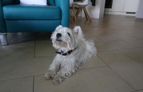 RheinDesign River Promenade - Foto 8