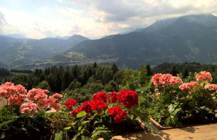 Baita Agaz - Foto 38