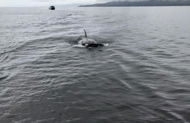 Juneau Family Friendly Getaway 301 - Foto 27