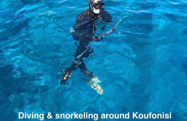 VillaRentalKoufonisiGreece - Foto 19