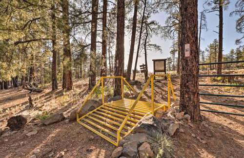 Wraparound Deck and Poker Room Cabin in Munds Park - Foto 40