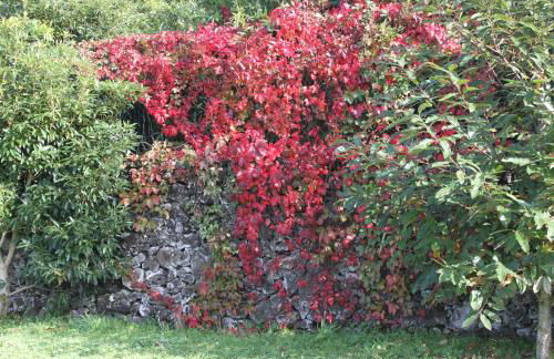 Quinta dos Afectos - Photo 20