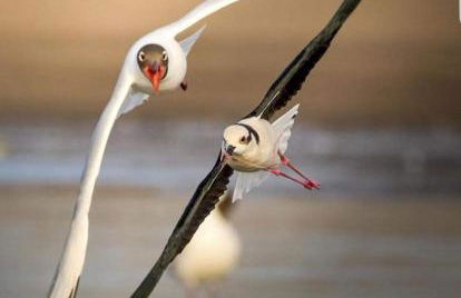 Le voyage à travers les flots - Foto 6