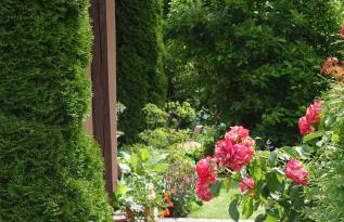 "Jabłonie i grusze" Nice home in a big garden with sauna and wifi - Foto 3