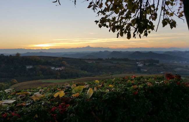 Cascina Cortine - Foto 50