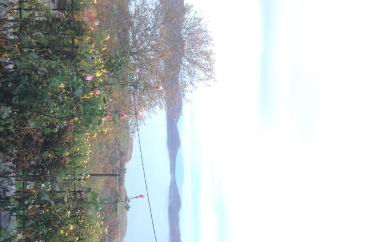 Anthemion - Photo 56