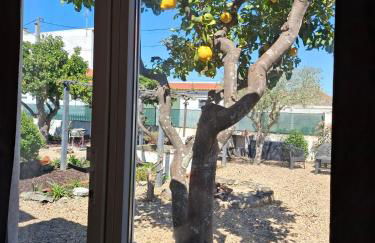 Páteo da Memória Casa do Pintor - Foto 14