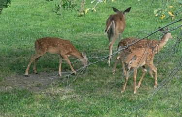 Lewis And Clark Hideaway SD side hot tub 2 min lake - Foto 6