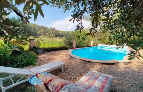 Le Figuier appart 2-3 pers en plein vignoble avec piscine privée à 30mn des gorgesdu Verdon et des plages - Foto 24
