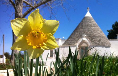 I Giardini di Pomona - Foto 22