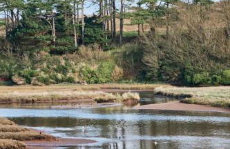 Little Buckley A peaceful family & dog-friendly retreat near Sidmouth - Foto 34
