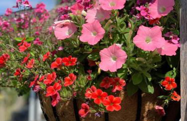 Cosy Studio with a field view - Foto 29