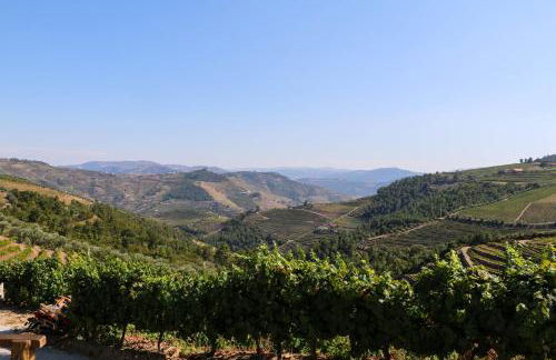 Quinta Teoria - Teoria Guest House - Photo 12