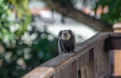 Village Mutà - Foto 128