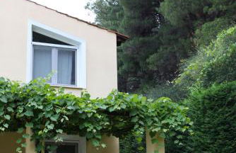 Six Steps From The Forest - Photo 35