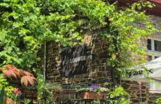 Weingut Caspari, Familie Eggert - Foto 72
