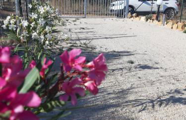 Casetta Relax da Antonio - Foto 28