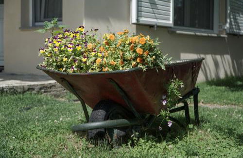 Meteora's sunset - Foto 9