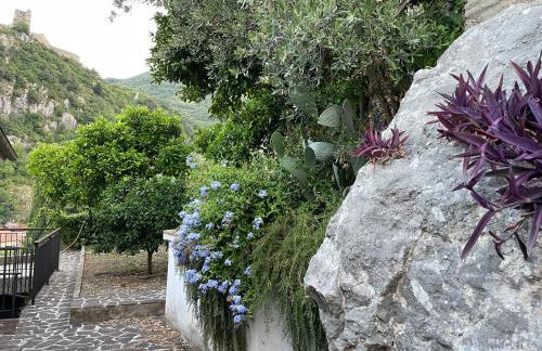 casa monte maggio - Foto 9