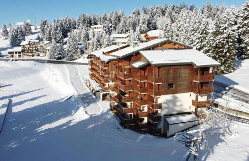 Superbe appartement au pied des pistes -Le chamois - Foto 9