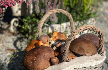 Agro na Wapniarni - Foto 52