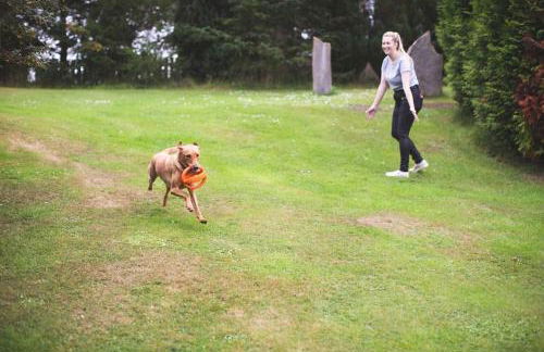 Calm Scottish Country Escape with Hot Tub Sleeps 6 - Foto 40