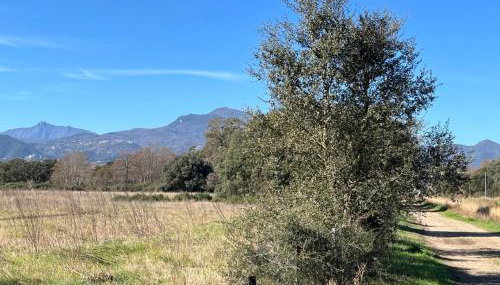 MAISONS BORD DE MER- MARINE DE SORBO - Gîtes 3 épis - Foto 5