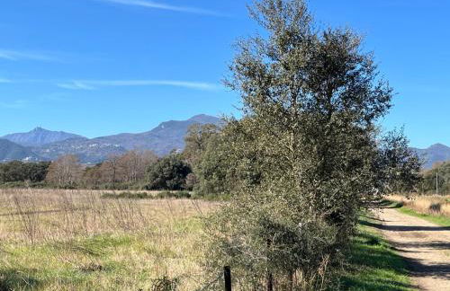 MAISONS BORD DE MER- MARINE DE SORBO - Gîtes 3 épis - Foto 5