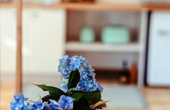 Lavender House - Foto 39