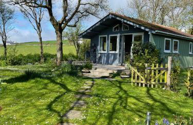 Beech Hut - a streamside family escape near Salcombe and Beaches - Foto 1