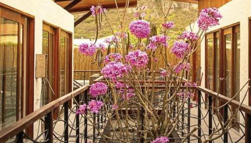 Villa Andorinha, Apt 03 - Foto 5