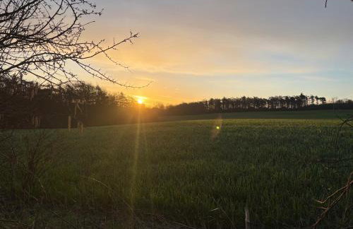 Little Vine Cottage in the grounds of Leeds Castle - Foto 39