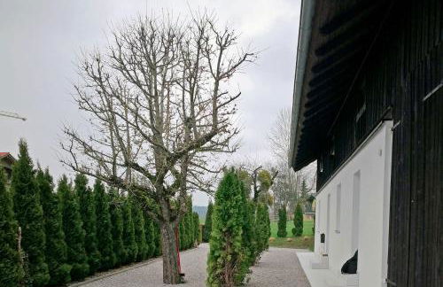 Münsing Nähe Starnberger See, schöne Ferienwohnung, Gästewohnung 125qm EG und OG KONTAKTFREI - Foto 6