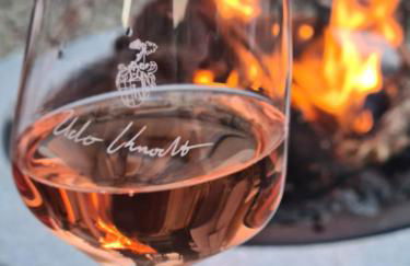 Weingut Knodt-Trossen - Foto 15