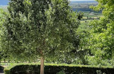 Il Castagneto - Foto 2