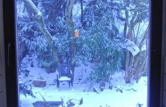 Ferienwohnung zur Mühle - Foto 51