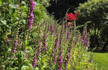 Whispering Woods Bayhouse - Foto 31