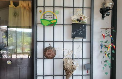 Predio Potantino - Foto 36