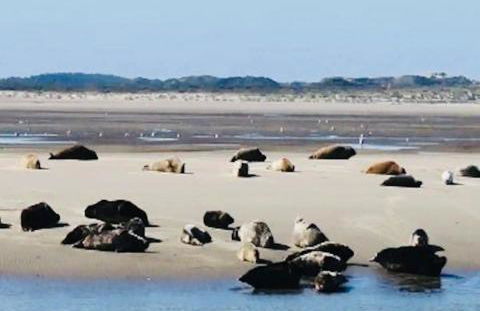 le chant de la rivière - Foto 22