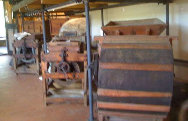 Agriturismo Fattoria di Castiglionchio - Foto 50