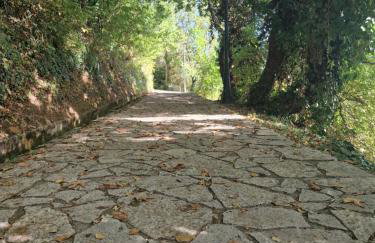 ΚΑΛΟΣΚΟΠΗ Luxury House - Foto 40