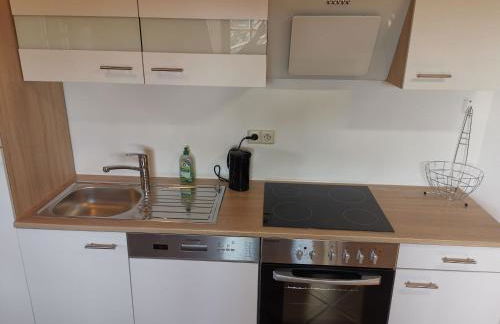 Ferienwohnungen Leiteritz - Foto 10