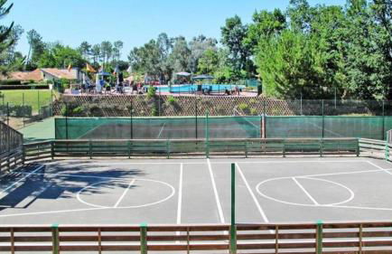 Maison ocelandes - Foto 10