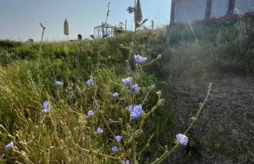 Respiro Glamping Private Retreat with Hot Tub - Foto 39