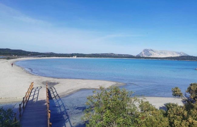 Apartment in Sos Alinos Near Sardinian Beaches - Photo 38