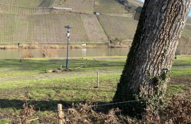 Ferienwohnung Rockenbach - Foto 22