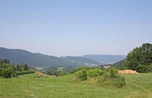 Gîte confortable à Basse-sur-le-Rupt - 3 chambres, terrasse, proche La Bresse - FR-1-589-42 - Foto 6
