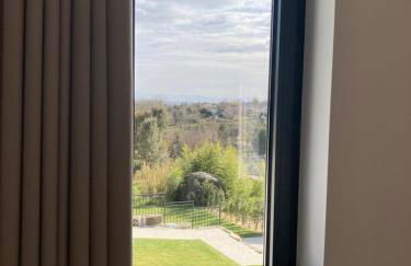 Quintinha Silvestre - Foto 35