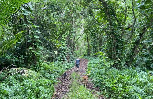 OceanFront Kauai - Harmony TVNC 4247 - Foto 44