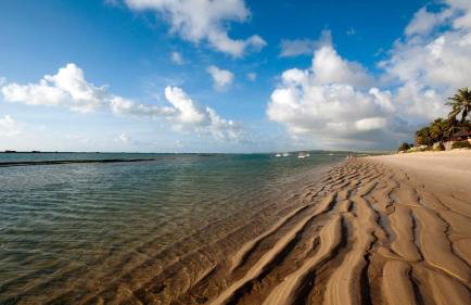 Terraços da Barra 206A Perto de tudo - Foto 3